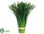 Onion Grass Bouquet Holder - Green - Pack of 12