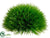 Pine Grass Half Dome - Green - Pack of 8