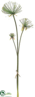 Silk Plants Direct Papyrus Bundle - Green - Pack of 4