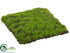 Silk Plants Direct Moss Sheet - Green - Pack of 6