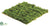 Mountain Sphagnum Moss Sheet - Green - Pack of 12