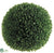 Boxwood Ball - Green - Pack of 2
