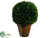 Preserved Boxwood Ball Topiary - Green - Pack of 2