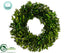 Silk Plants Direct Preserved Boxwood Wreath - Green - Pack of 2