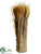 Preserved Wheat, Grass Twig Bundle - Natural - Pack of 10