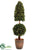 Preserved Boxwood Pyramid Ball Topiary - Green - Pack of 2