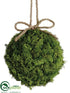 Silk Plants Direct Preserved Reindeer Moss Ball - Green - Pack of 4