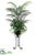 Silk Plants Direct Areca Palm, Pothos, Fern - Green - Pack of 1