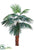 Silk Plants Direct Fountain Palm Tree - Green - Pack of 4