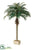 Silk Plants Direct Phoenix Palm Tree - Green - Pack of 2