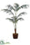 Silk Plants Direct Kentia Palm Tree - Green - Pack of 1