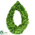 Silk Plants Direct Preserved Boxwood Wreath Water Drop - Green - Pack of 1
