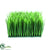 Silk Plants Direct Wheat Grass Square Mat - Green - Pack of 4