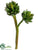 Agave Spray - Green - Pack of 12