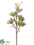 Silk Plants Direct Aeonium Stem - Green Burgundy - Pack of 6