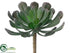 Silk Plants Direct Aeonium - Green Gray - Pack of 24