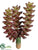 Donkey Tail Pick - Burgundy Green - Pack of 24