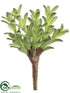 Silk Plants Direct Donkey Tail Bush - Green Flocked - Pack of 24