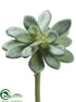 Silk Plants Direct Echeveria - Green Purple - Pack of 12