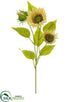 Silk Plants Direct Sunflower Spray - Beige - Pack of 12