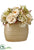 Rose Bouquet - Beige - Pack of 1