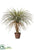 Desert Palm Tree - Green Beige - Pack of 2
