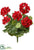Water-Resistant Geranium Bush - Red - Pack of 12