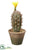 Silk Plants Direct Barrel Cactus - Green Yellow - Pack of 12