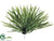 Wheat Grass Pick - Green - Pack of 12