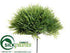 Silk Plants Direct Moss Pick - Green - Pack of 12