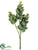 Donkey Tail Pick - Green - Pack of 12