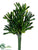 Coral Succulent Pick - Green - Pack of 12