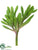 Silk Plants Direct Aeonium Pick - Green - Pack of 36