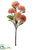Allium Bud Spray - Coral - Pack of 12