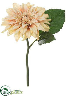 Dahlia Spray - Rose - Pack of 12