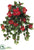 Hibiscus Hanging Bush - Red Tomato - Pack of 4