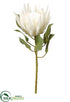 Silk Plants Direct King Protea Spray - Cream - Pack of 12