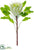 Silk Plants Direct Ginger Flower Branch - Cream - Pack of 12