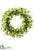 Clover, Grass Wreath - Green - Pack of 4
