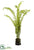 Silk Plants Direct Fern, Moss - Green - Pack of 1
