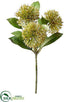 Silk Plants Direct Allium Bud Spray - Green - Pack of 12