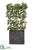 EVA Schefflera Wall Divider - Green - Pack of 1
