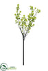Silk Plants Direct Snowball Branch - Green - Pack of 2