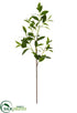 Silk Plants Direct Laurel Leaf Spray - Green - Pack of 6