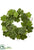 Fig Leaf Wreath - Green - Pack of 4
