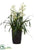 Silk Plants Direct Cymbidium - White Green - Pack of 1