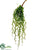 String of Pearl Pick - Green - Pack of 12