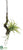 Tillandsia Hanging Branch - Green - Pack of 12