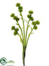 Silk Plants Direct Sedum Spray - Green - Pack of 24
