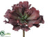 Silk Plants Direct Ruffle Sedum Spray - Burgundy - Pack of 12
